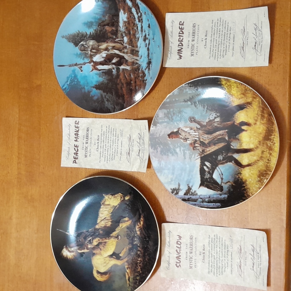 Mystic Warriors Plate Collection